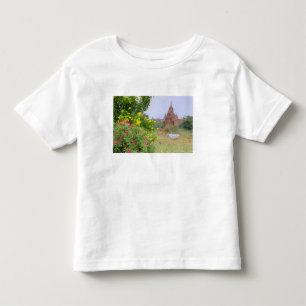 Camiseta Infantil Ásia, Mianmar (Birmânia), Bagan (Pagan). Vacas