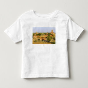 Camiseta Infantil Ásia, Mianmar (Birmânia), Bagan (Pagan). Vacas pas