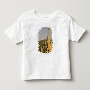 Camiseta Infantil Ásia, Mianmar, Lago Inle. Pagodes.