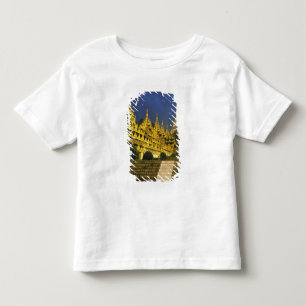 Camiseta Infantil Ásia, Mianmar, Yangon. Pagode Shwedagon em