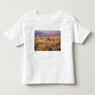 Camiseta Infantil Ásia, Mongólia, Deserto de Gobi, Gobi Excelente
