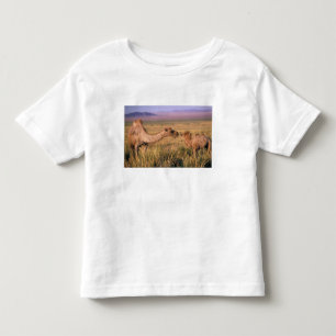 Camiseta Infantil Ásia, Mongólia, Deserto de Gobi, Grande Gobi