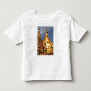 Camiseta Infantil Ásia, Myanmar (Birmânia), Bagan (Pagan). O Dhamma