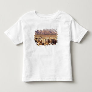 Camiseta Infantil Ásia, Oriente Médio, República do Iêmen. Shibam