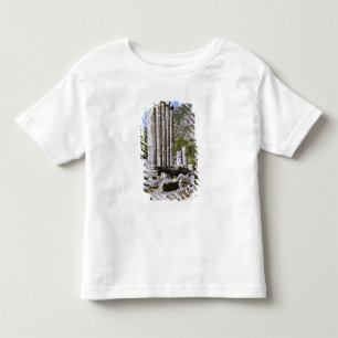 Camiseta Infantil Ásia, Oriente Médio, Turquia, Éfeso. Templo de