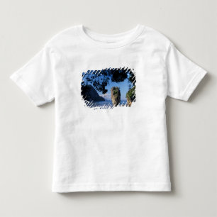 Camiseta Infantil Ásia, Tailândia, Ao Phangnga NP, litoral, Karst