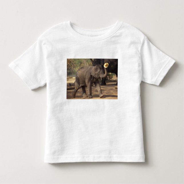 Camiseta Infantil Ásia, Tailândia, Lampang Bears com chapéu - Tailan (Frente)