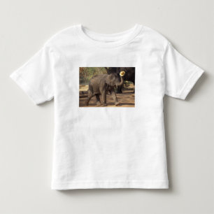 Camiseta Infantil Ásia, Tailândia, Lampang Curvando-se com chapéu -