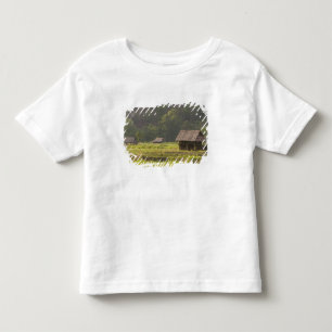 Camiseta Infantil Ásia, Tailândia, Mae Hong Son, Cabanas de arroz no