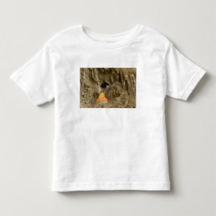 Camiseta Infantil Ásia, Tailândia, Mae Hong Son, imagens de Buda
