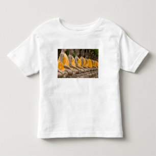 Camiseta Infantil Ásia, Tailândia, Sião, Budas em Ayutthaya