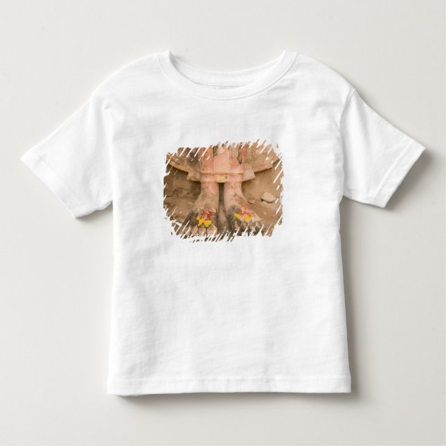 Camiseta Infantil Ásia Tailândia, Sukhothai, pés de Buda e (Frente)
