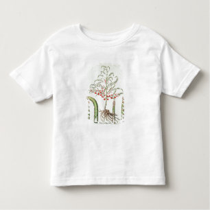 Camiseta Infantil Aspargo comum na flor e na fruta, do 'Ho