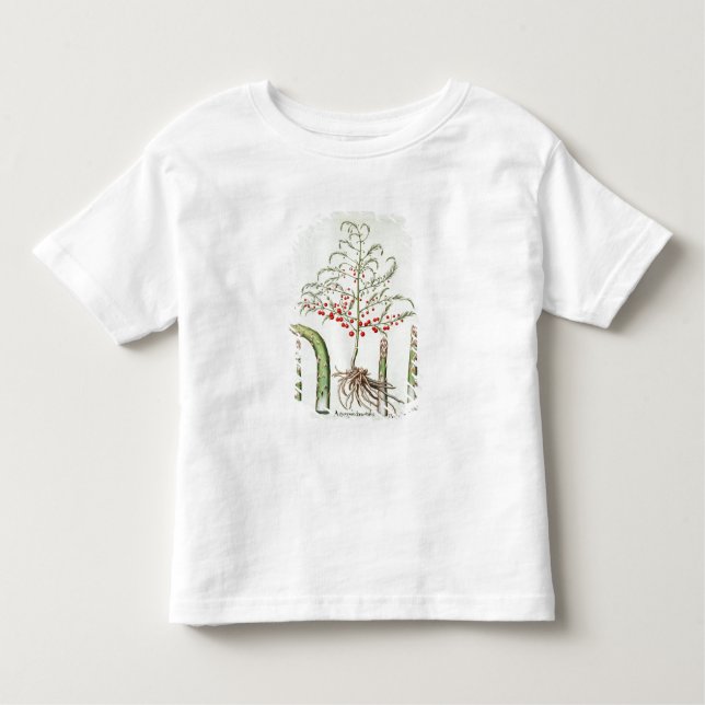Camiseta Infantil Aspargo comum na flor e na fruta, do 'Ho (Frente)