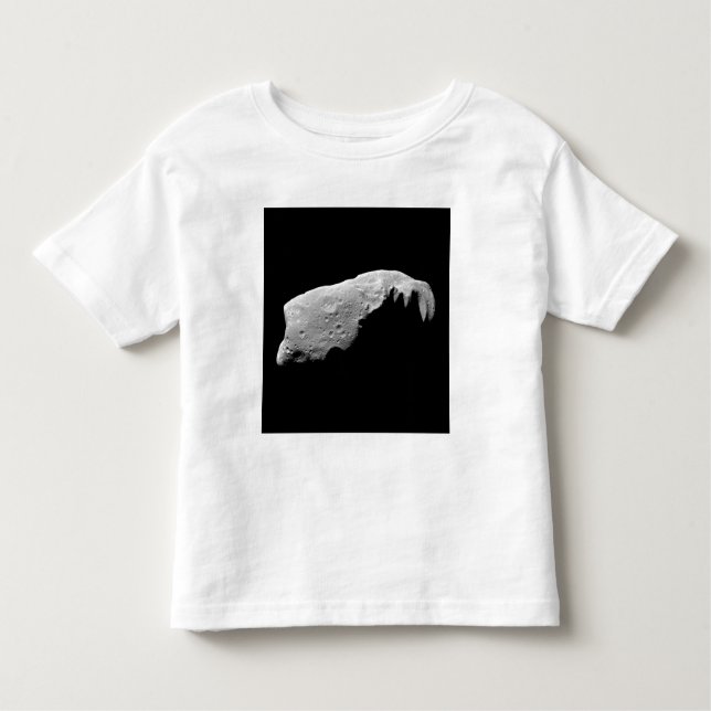 Camiseta Infantil Asteroide 243 Ida (Frente)