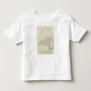 Camiseta Infantil Atlas dos Estados de Nova Iorque