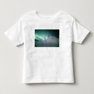 Camiseta Infantil Aurora Boreal, perto de Palmer, 17/18 de janeiro,