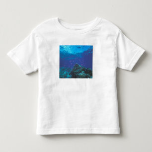 Camiseta Infantil Austrália, Grande Barreira de Coral. Enxameando Ro