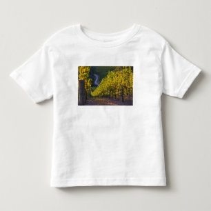 Camiseta Infantil Austrália Meridional, Adelaide Hills, Summertown. 