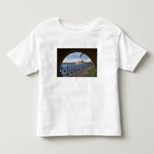 Camiseta Infantil Austrália, Nova Gales do Sul, Sydney, Pedra