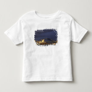 Camiseta Infantil Austrália, Nova Gales do Sul, Sydney, Sydney Opera