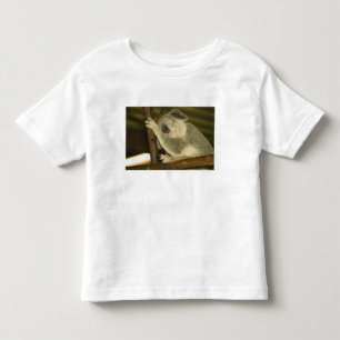 Camiseta Infantil Austrália, Queensland, Brisbane. Figueira