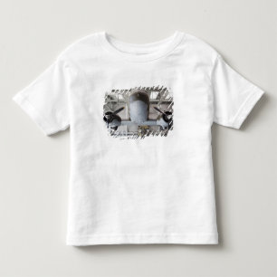 Camiseta Infantil avião de transporte C-47 Dakota da Segunda Guerra