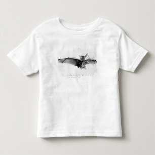 Camiseta Infantil Avion III, 'o Bat
