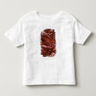 Camiseta Infantil AZ, Arizona, Page, Upper Antelope Canyon