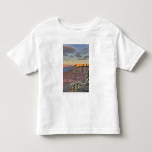Camiseta Infantil AZ, Arizona, Parque Nacional do Grand Canyon, Sul