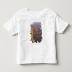 Camiseta Infantil AZ, Arizona, Parque Nacional do Grand Canyon, Sul 