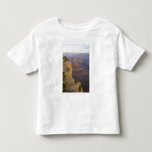Camiseta Infantil AZ, Arizona, Parque Nacional do Grand Canyon, Sul
