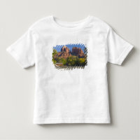 AZ, Arizona, Sedona, Área de Recreação da Lua Cres