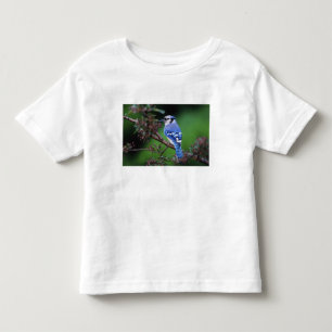 Camiseta Infantil Azul Jay, Cyaoncitta cristata
