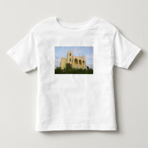 Camiseta Infantil BAHAMAS, Abacos, Ilha de Great Abaco, Pântano