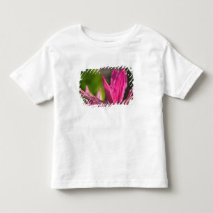 Camiseta Infantil BAHAMAS, Ilha de Nova Providência, Nassau: Paraíso