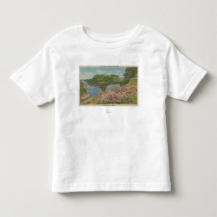 Camiseta Infantil Baía de Carmel, CA - vista "da árvore do veteran