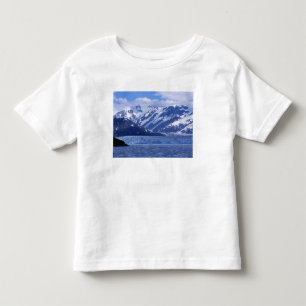Camiseta Infantil Baía de Desencanto e Geleira Hubbard,