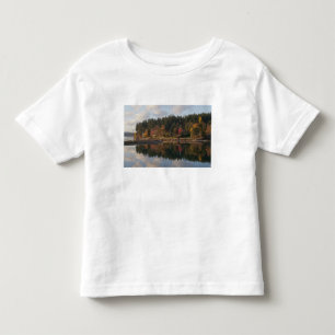 Camiseta Infantil Baía de Fletcher