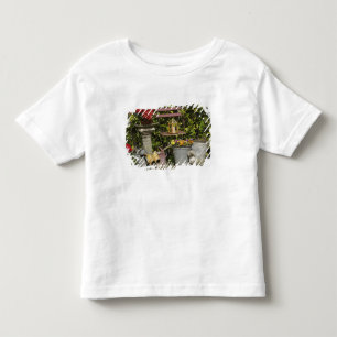 Camiseta Infantil Baldes, sapatos e flores, Zaanse Schans,