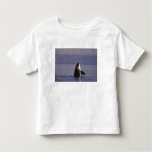 Camiseta Infantil Baleia Assassina Orca Spyhopping (Orca orcinus) pe
