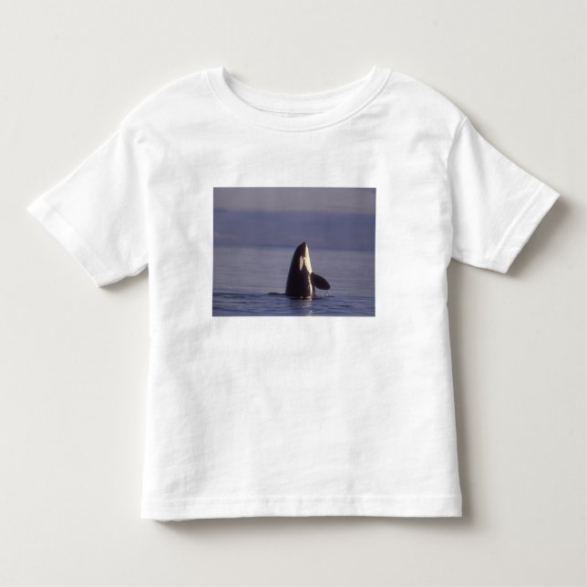 Camiseta Infantil Baleia Assassina Orca Spyhopping (Orca orcinus) pe (Frente)