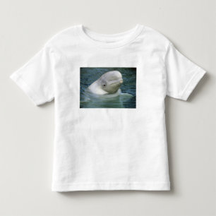 Camiseta Infantil Baleia Beluga, Delphinapterus leucas)