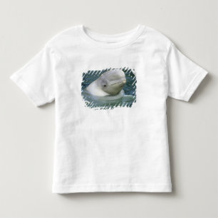 Camiseta Infantil Baleia Beluga, Delphinapterus leucas)