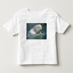 Camiseta Infantil Baleia de Beluga, Delphinapterus leucas)