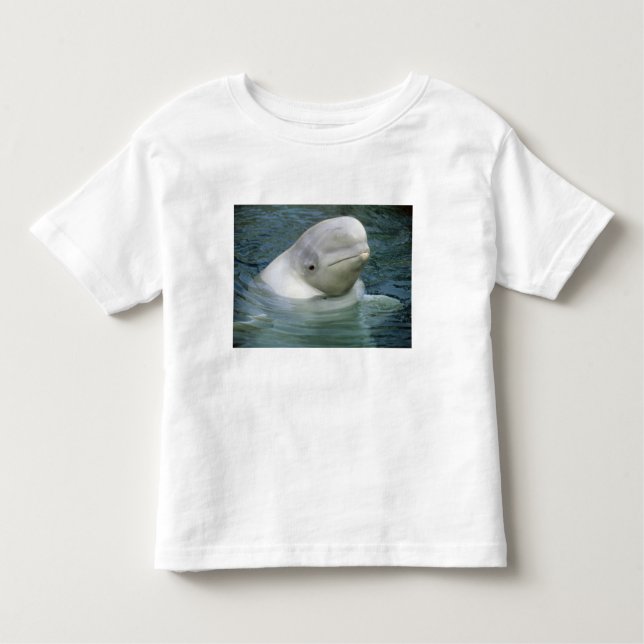 Camiseta Infantil Baleia de Beluga, Delphinapterus leucas) (Frente)