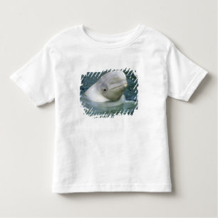 Camiseta Infantil Baleia de Beluga, Delphinapterus leucas)