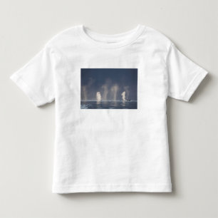 Camiseta Infantil Baleias Jubarte (Megaptera novaeangliae)