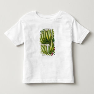 Camiseta Infantil Banana, gravada por Johann Jakob Haid (1704-67) pl