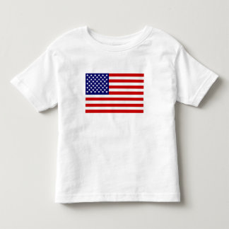 Camiseta Infantil bandeira americana